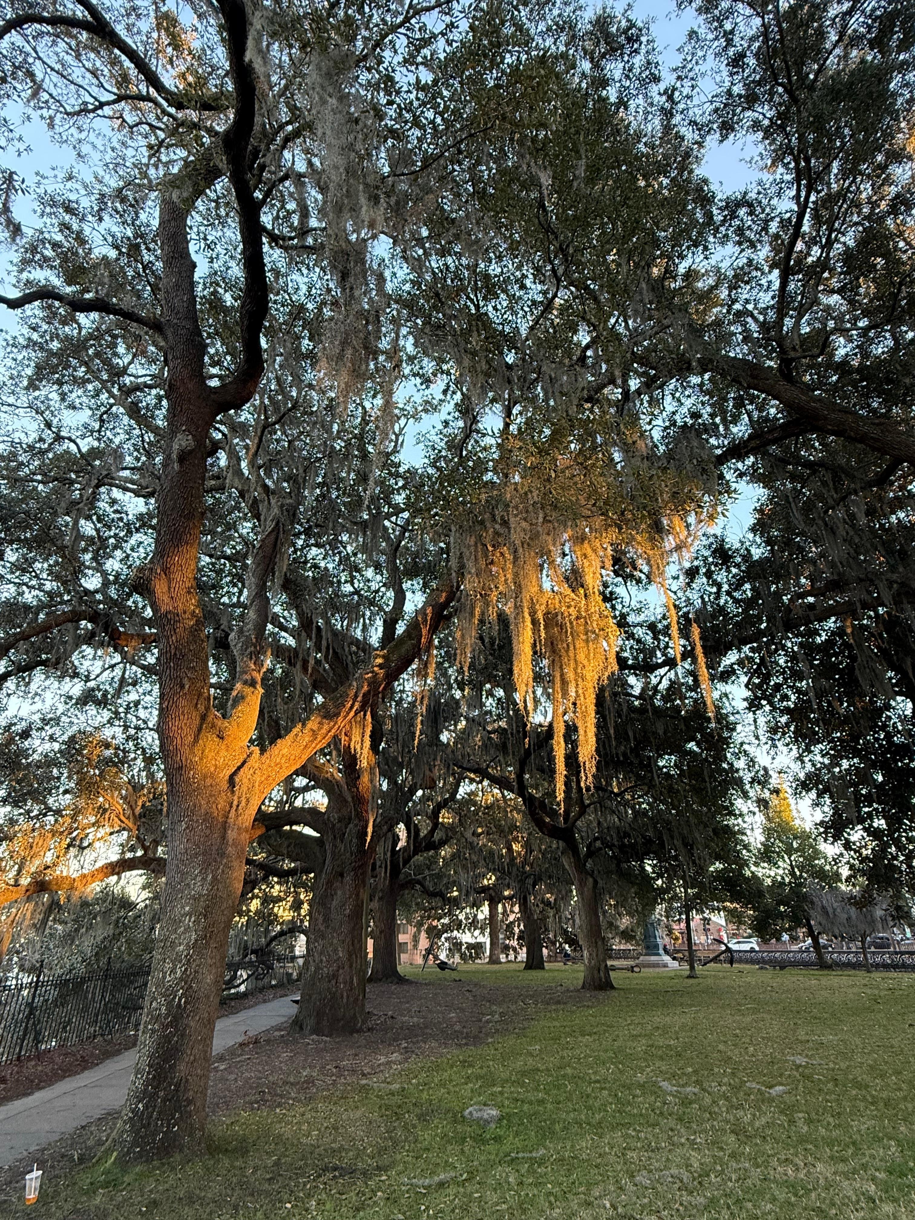 Emmet Park across from the hotel 