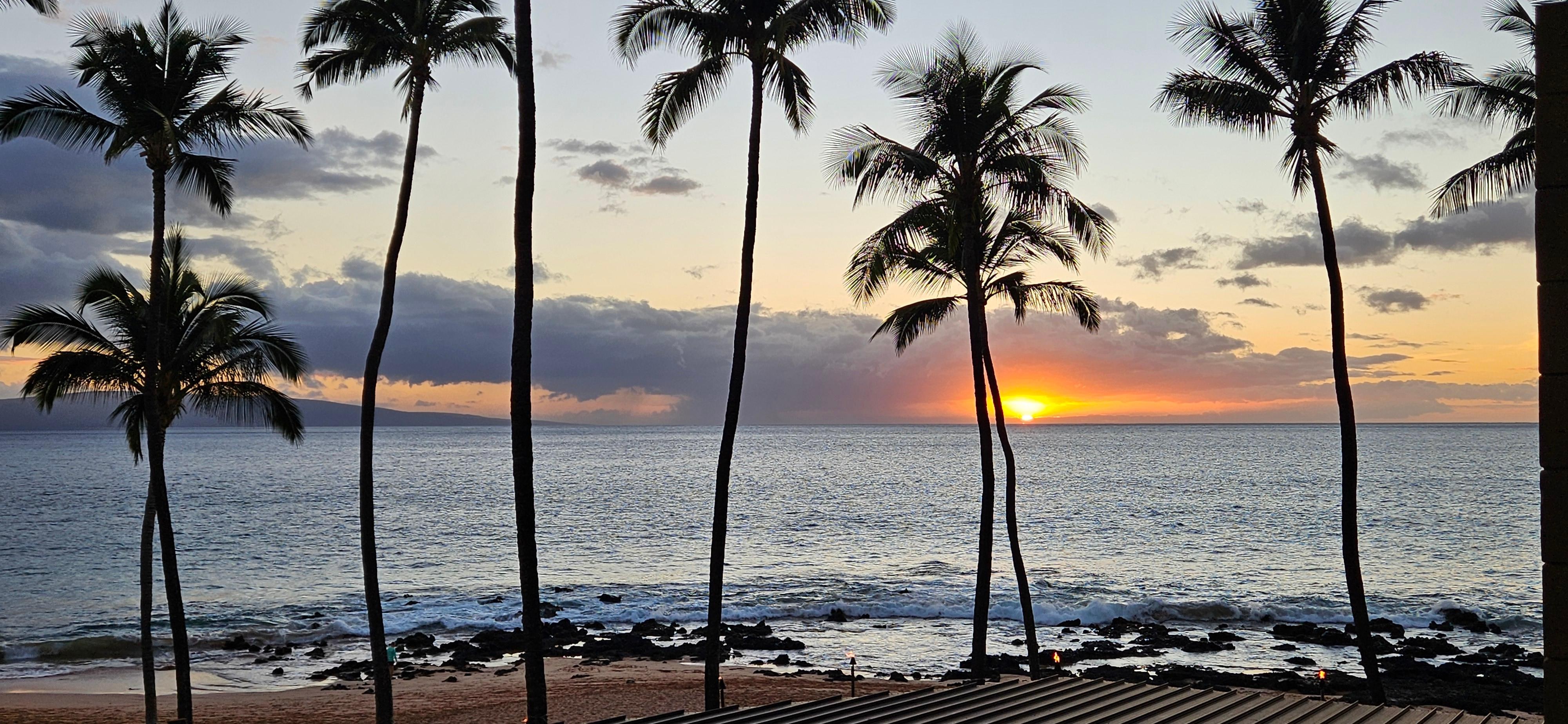 Amazing view from 206A