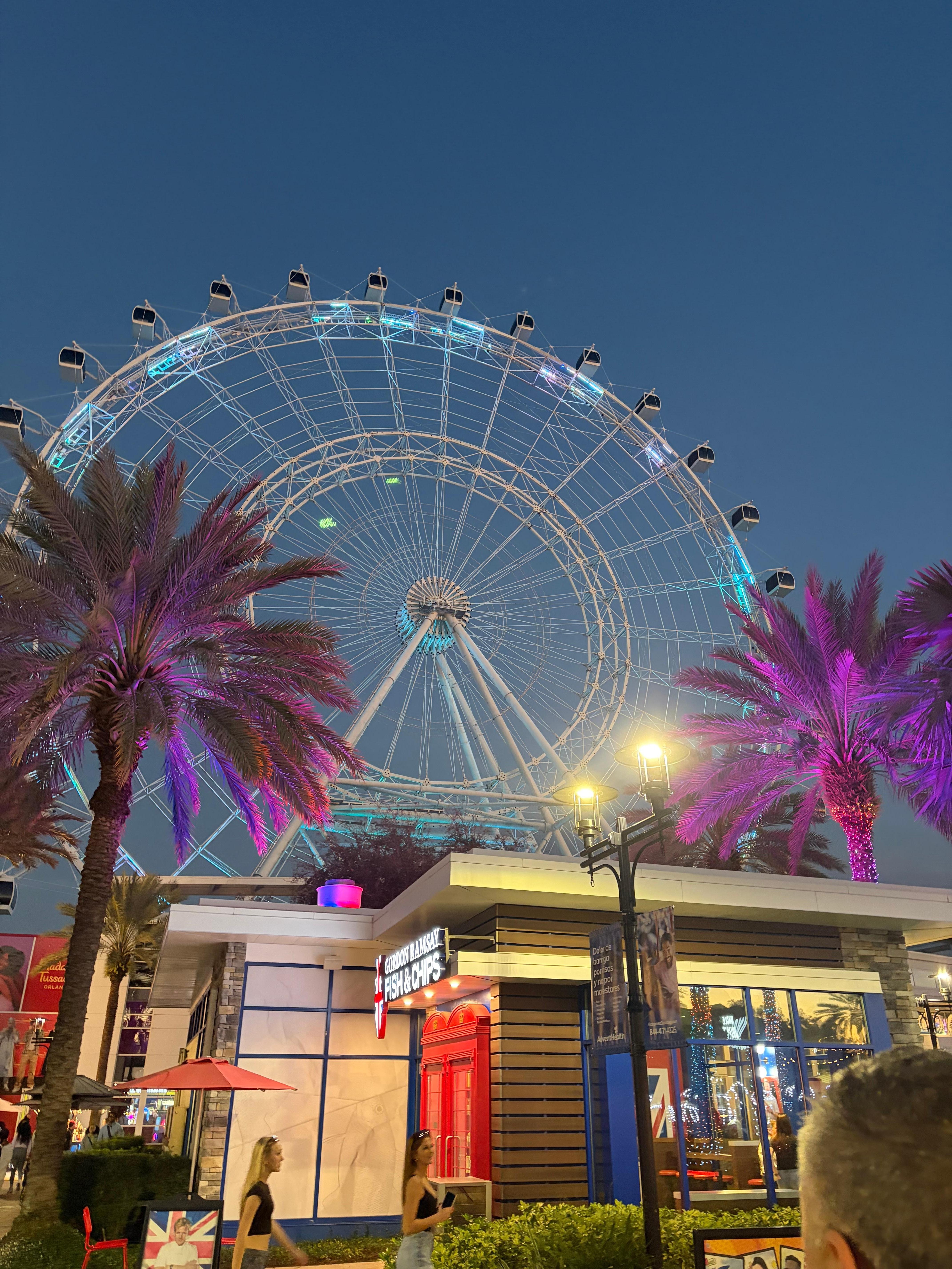 View from across the street! 