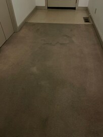 Entry way carpets heavily stained.