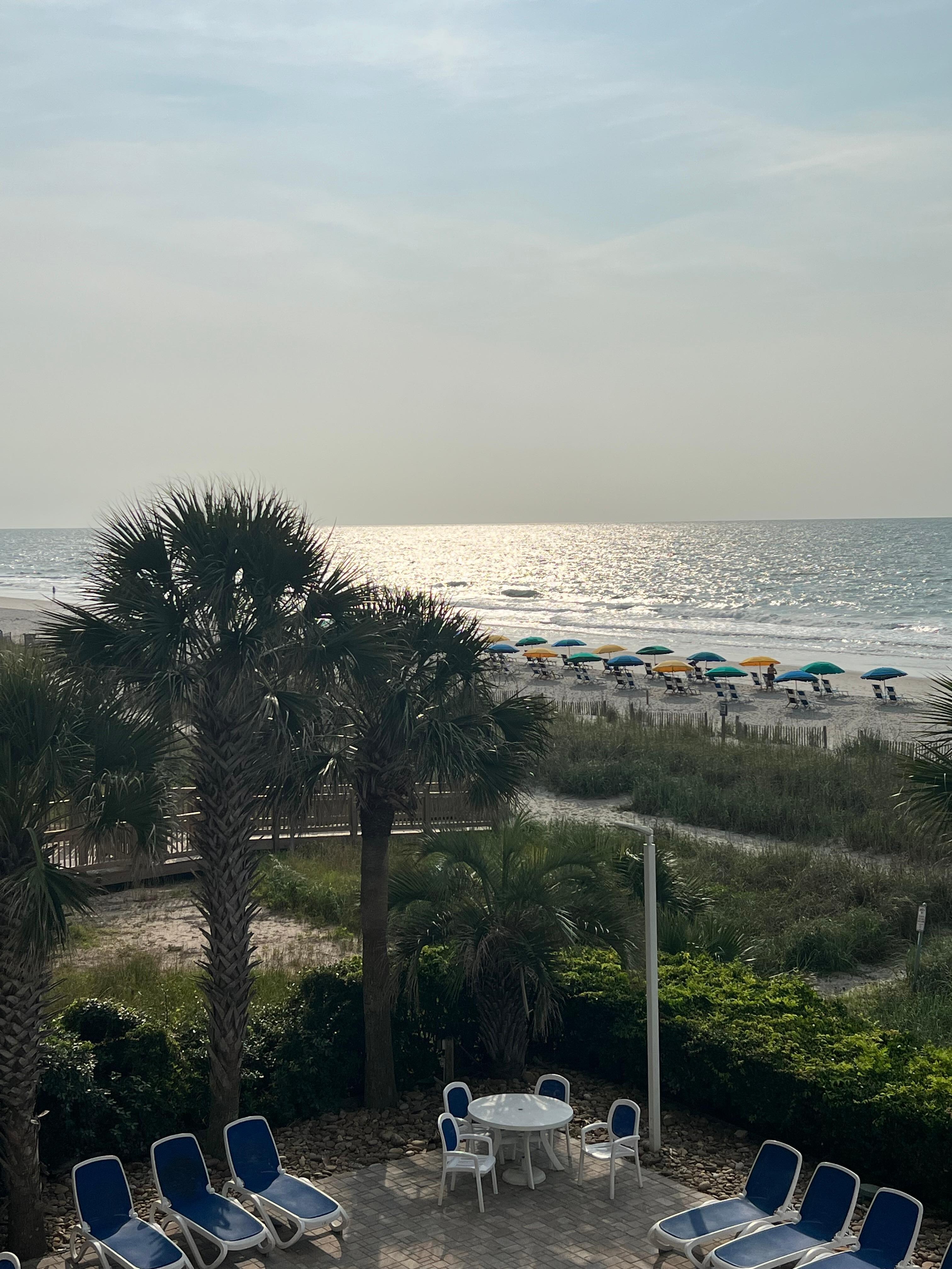 Room view 