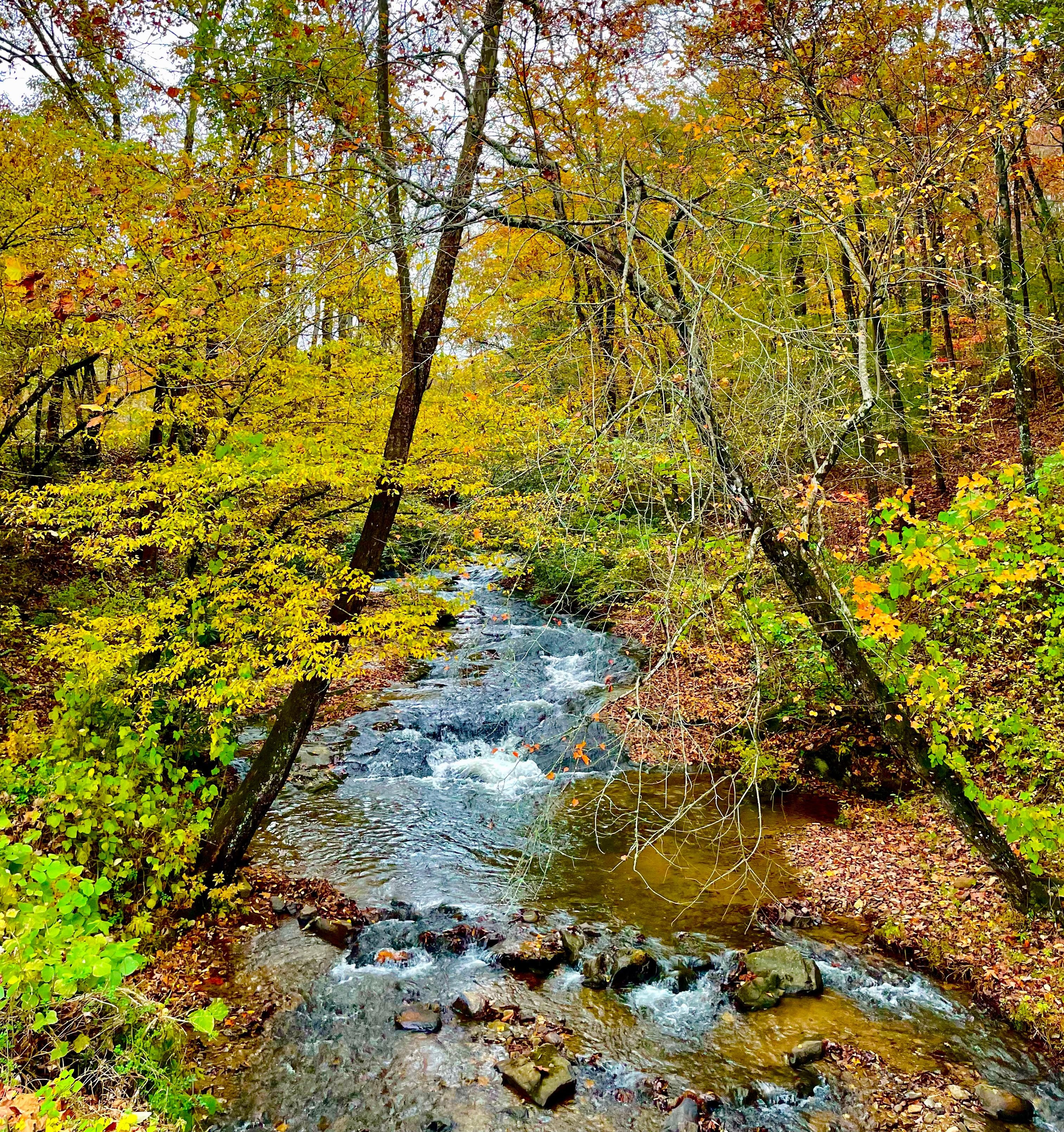 Rickman Creek is in the same area as the home. Cullasaja River and Falls are not far either. 