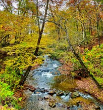Rickman Creek is in the same area as the home. Cullasaja River and Falls are not far either.
