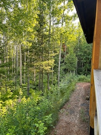 Back of screened in porch. The forest is right there!