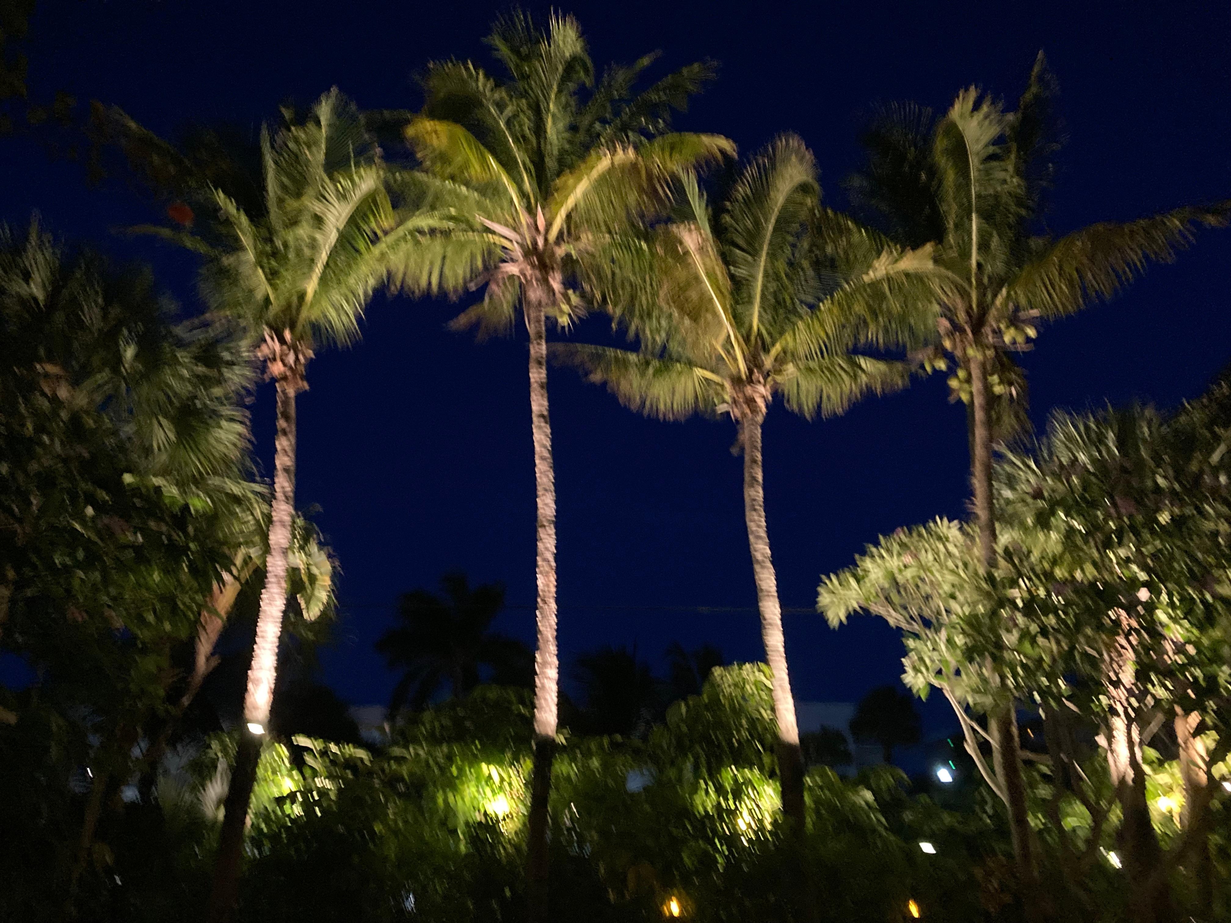 Beautiful evening ambience
