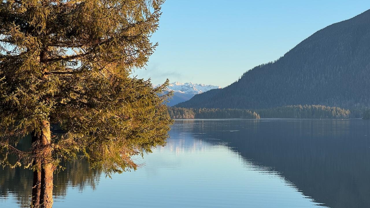 Sunny morning from the bedroom deck