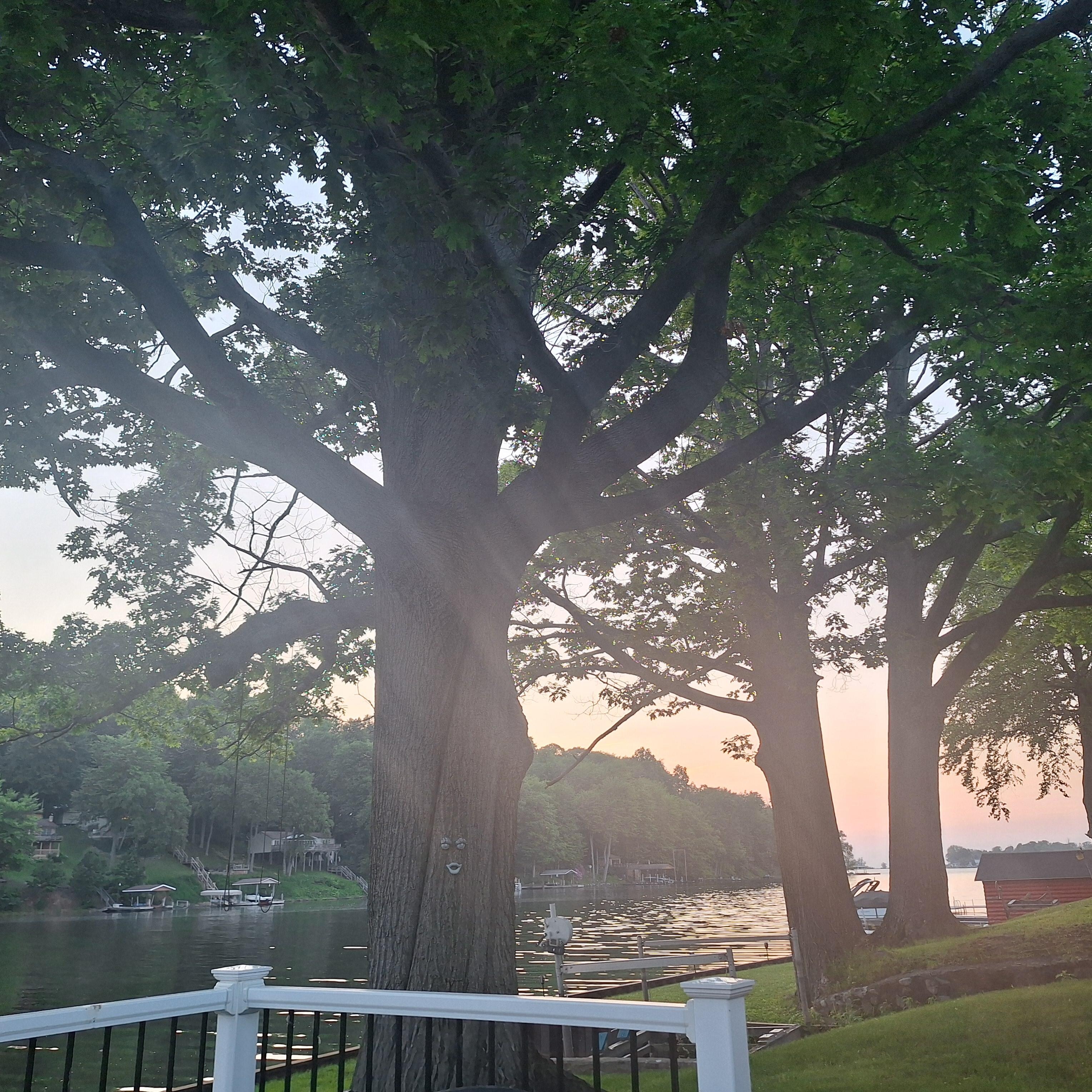 Tranquility 