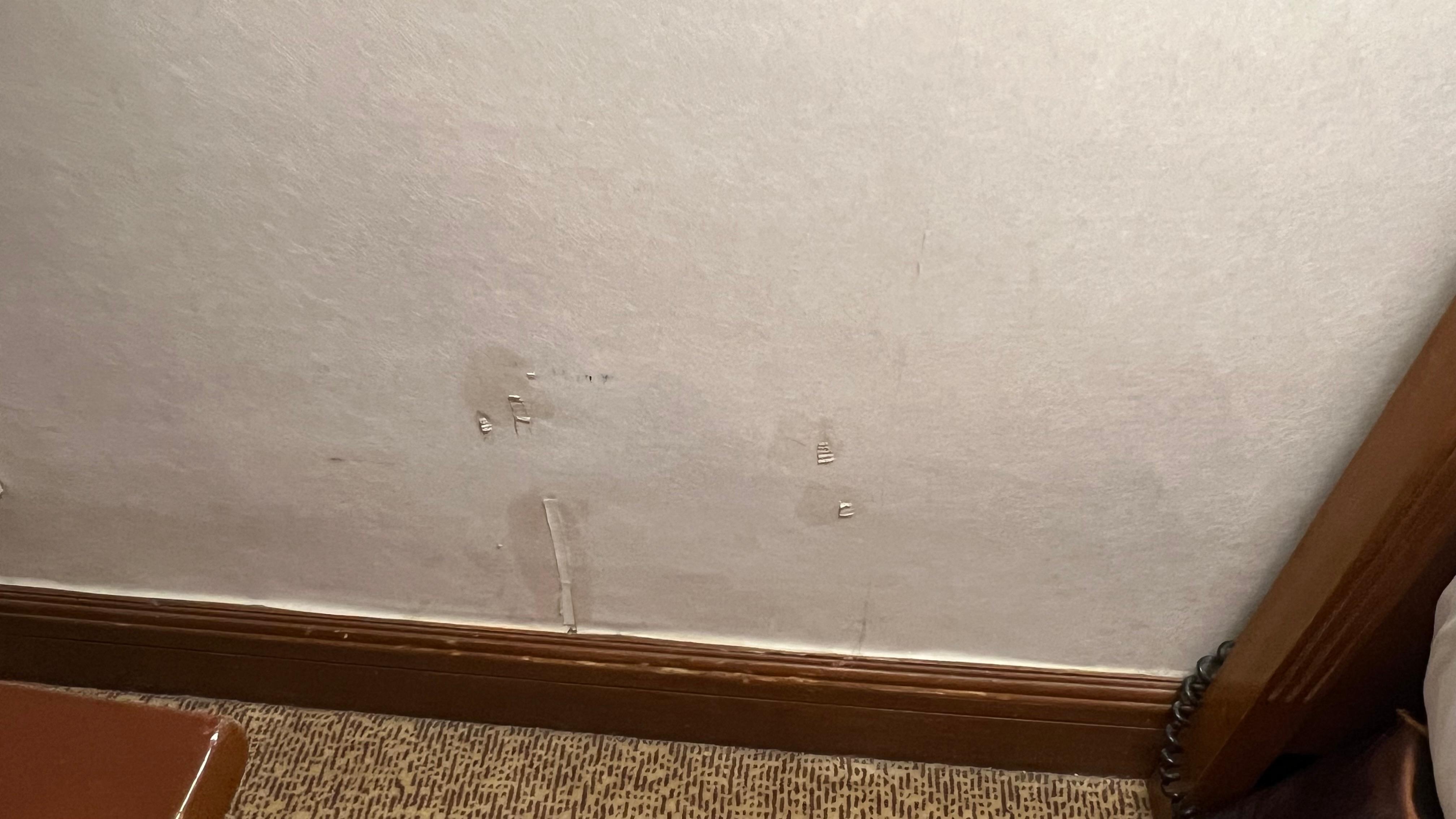 Walls have these type of dirt or mold