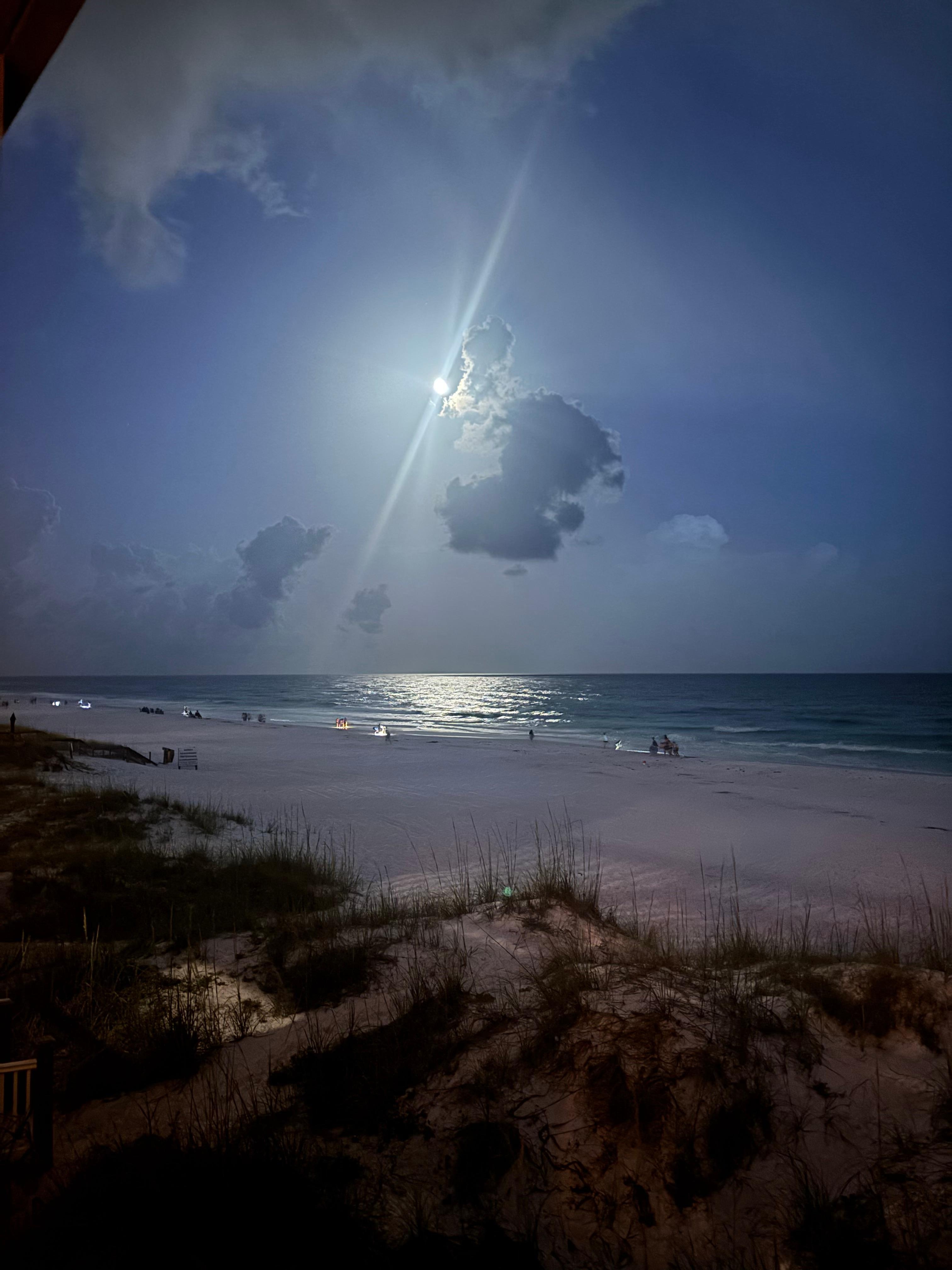 Moonlit night.