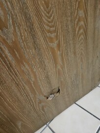 Damage to bathroom door