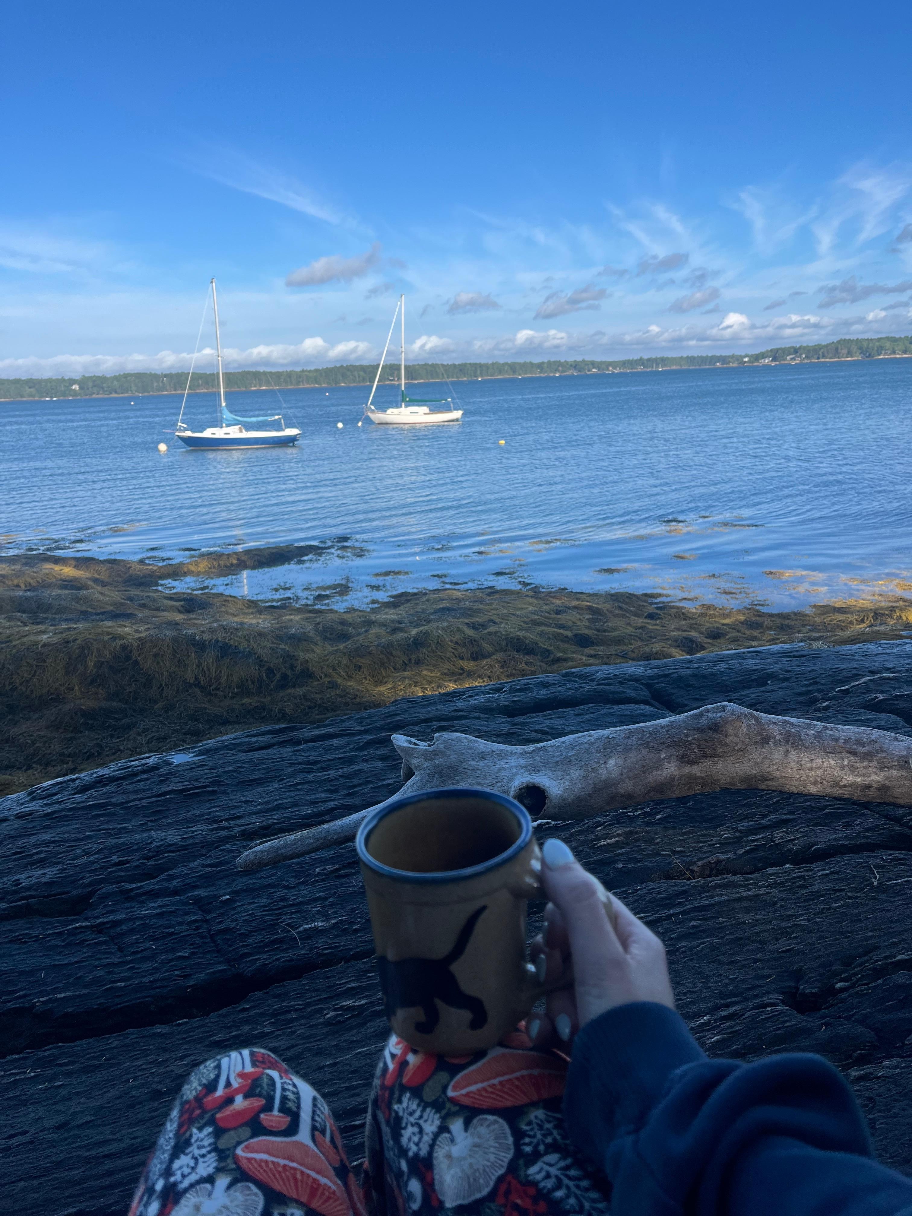 Mornings on the shore