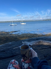 Mornings on the shore