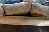Ripped sleeper sofa