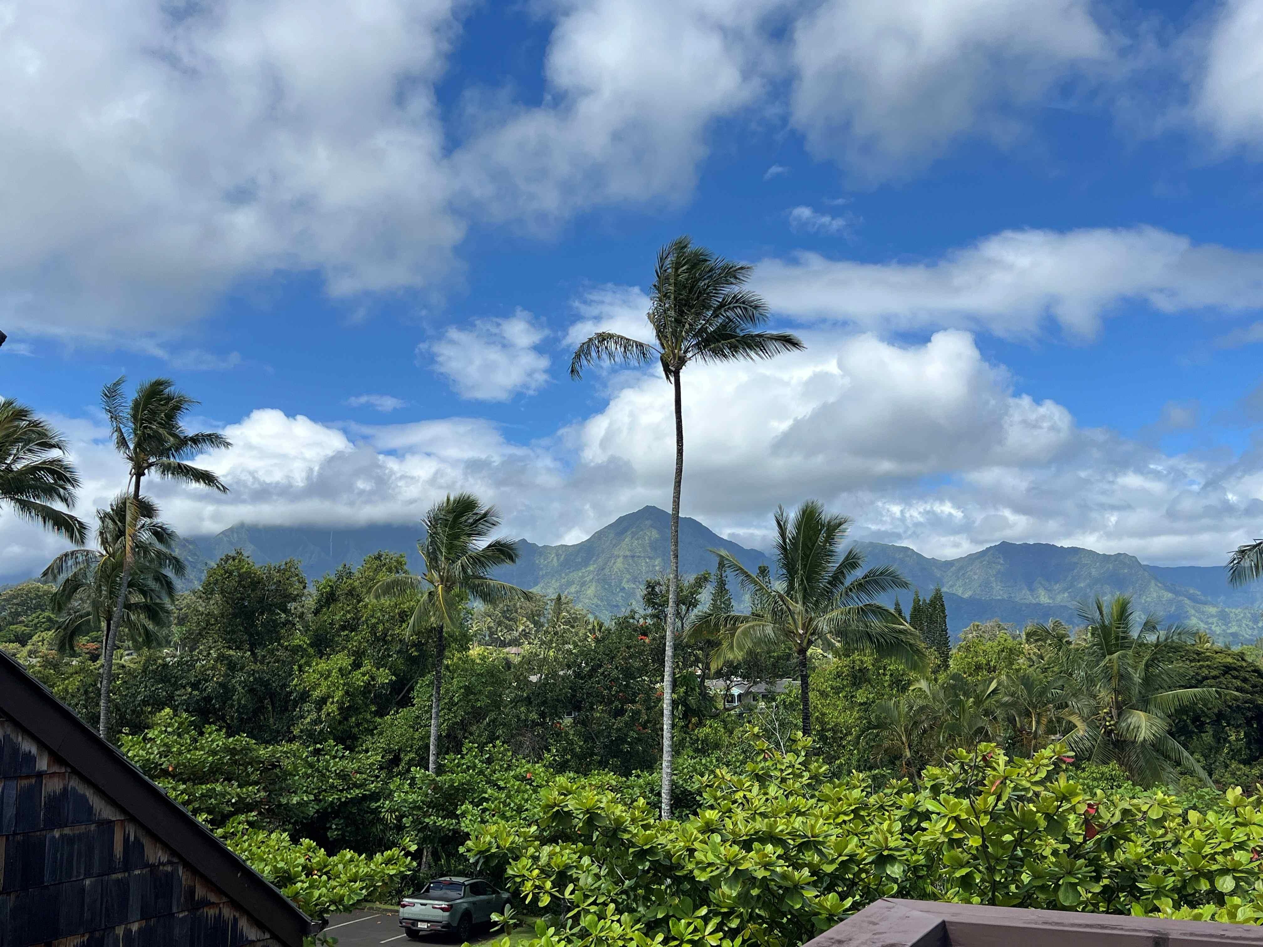 view from the top of the stairs. Similar view from the kitchen window.