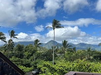 view from the top of the stairs. Similar view from the kitchen window.