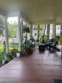 Beautiful plant life on the porch
