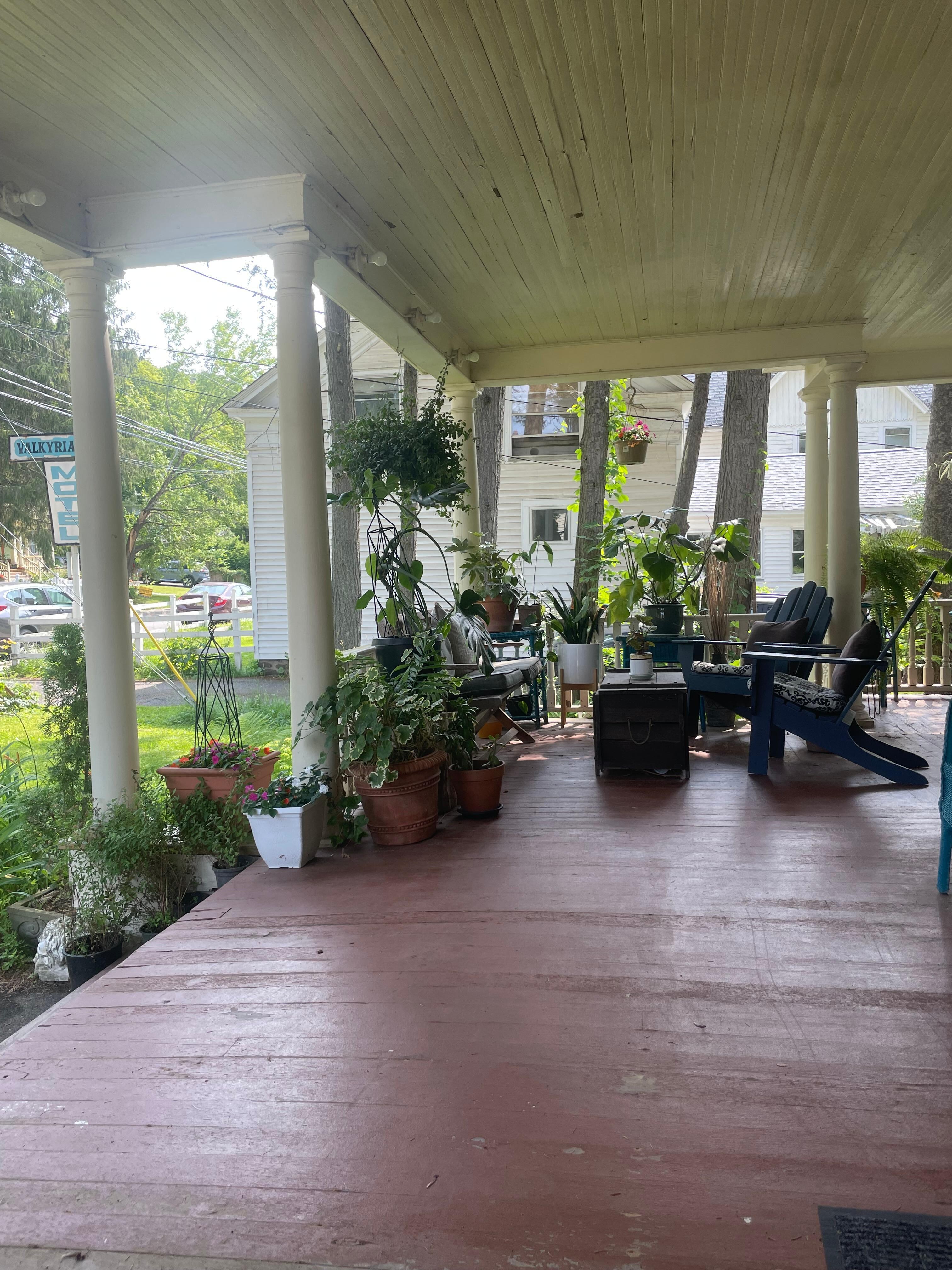 Beautiful plant life on the porch
