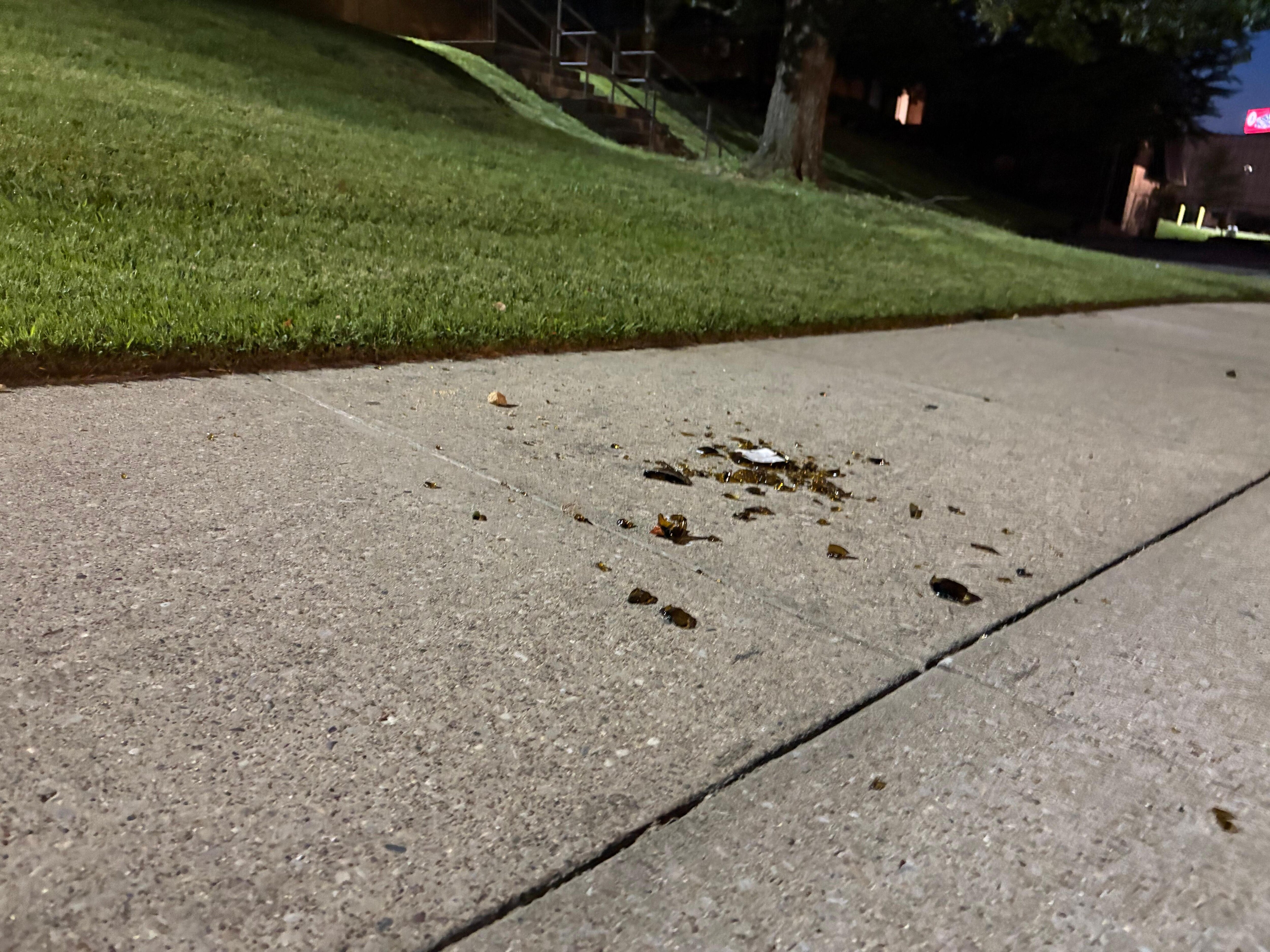 A broken beer bottle was on the sidewalk both days we stayed.  Goose poop everywhere too.  And cigarette butts on the ground at every entrance.