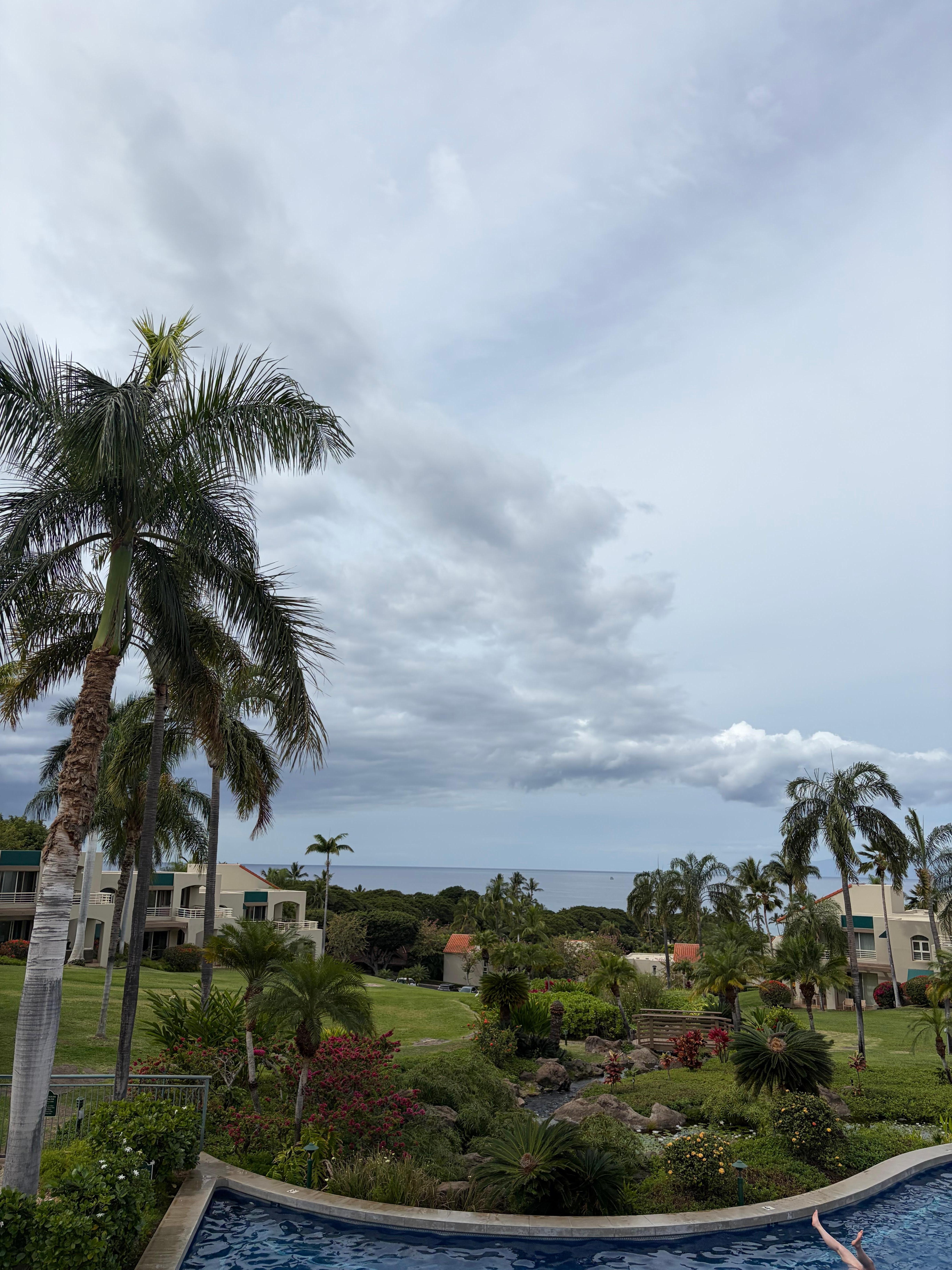 View from just above the pool.