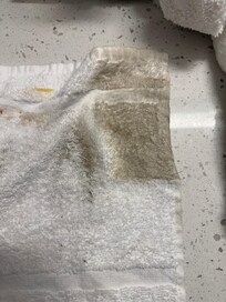 Rag from wiping water off the floor