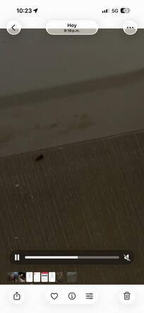 I took screenshots of the video as I could not upload a video here