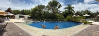 Pool with adoptive families having a quiet afternoon .