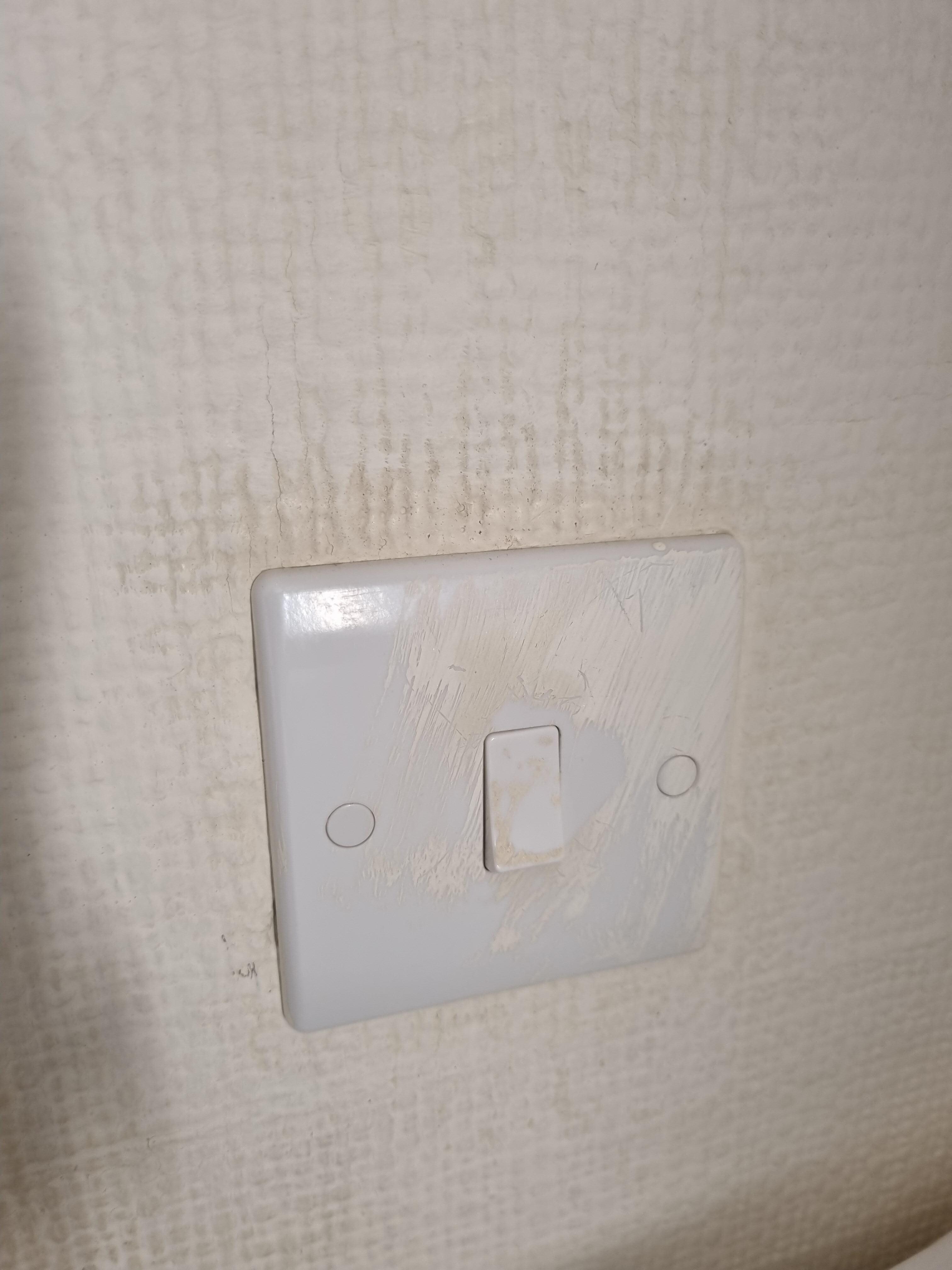 A beautiful stained wall that is offset by the painted and filthy light switch