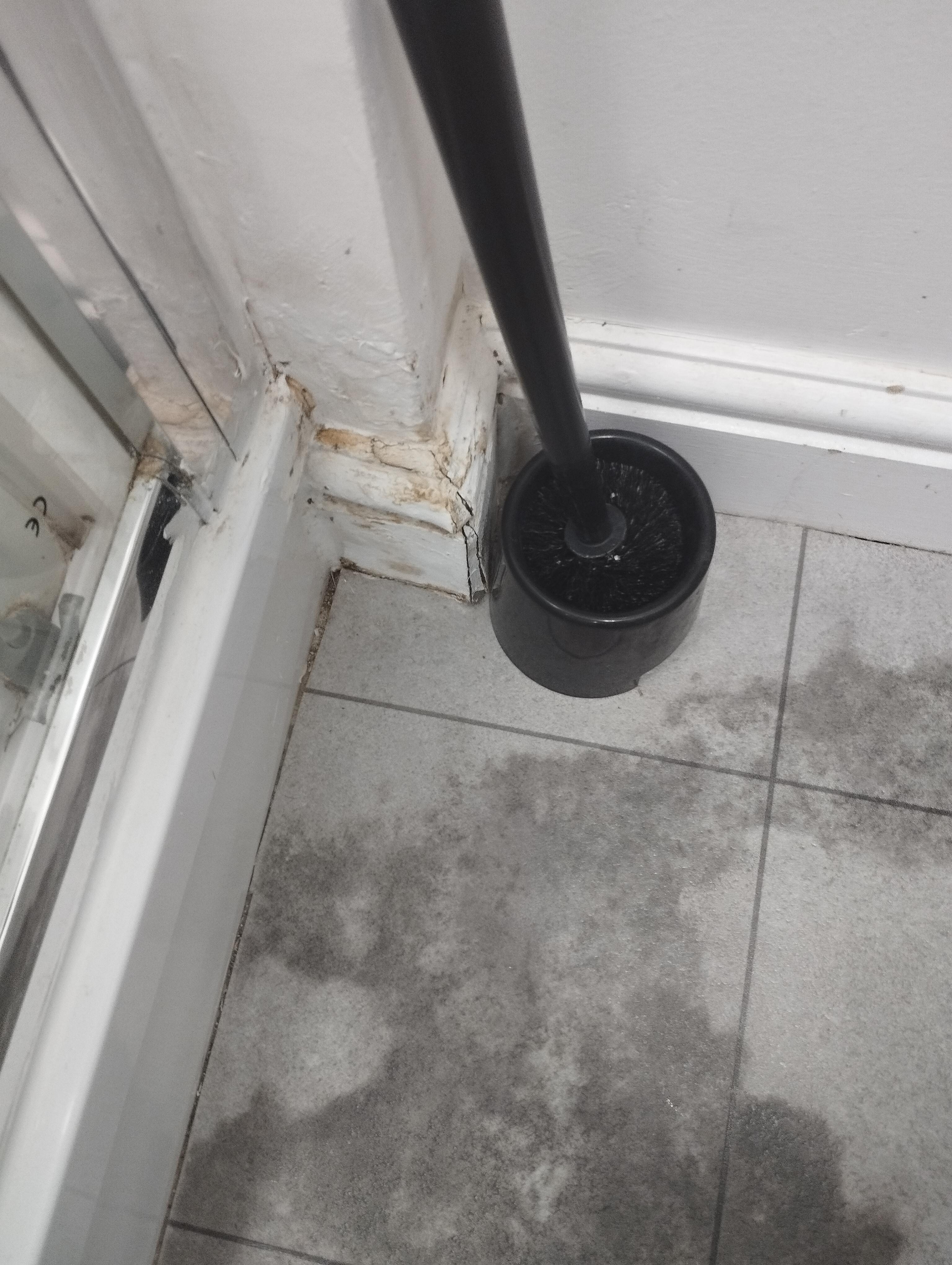 Dirty skirting and shower