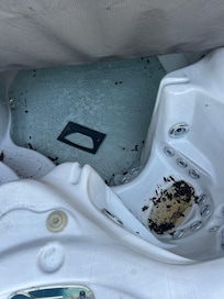 Swim spa filthy and not working!