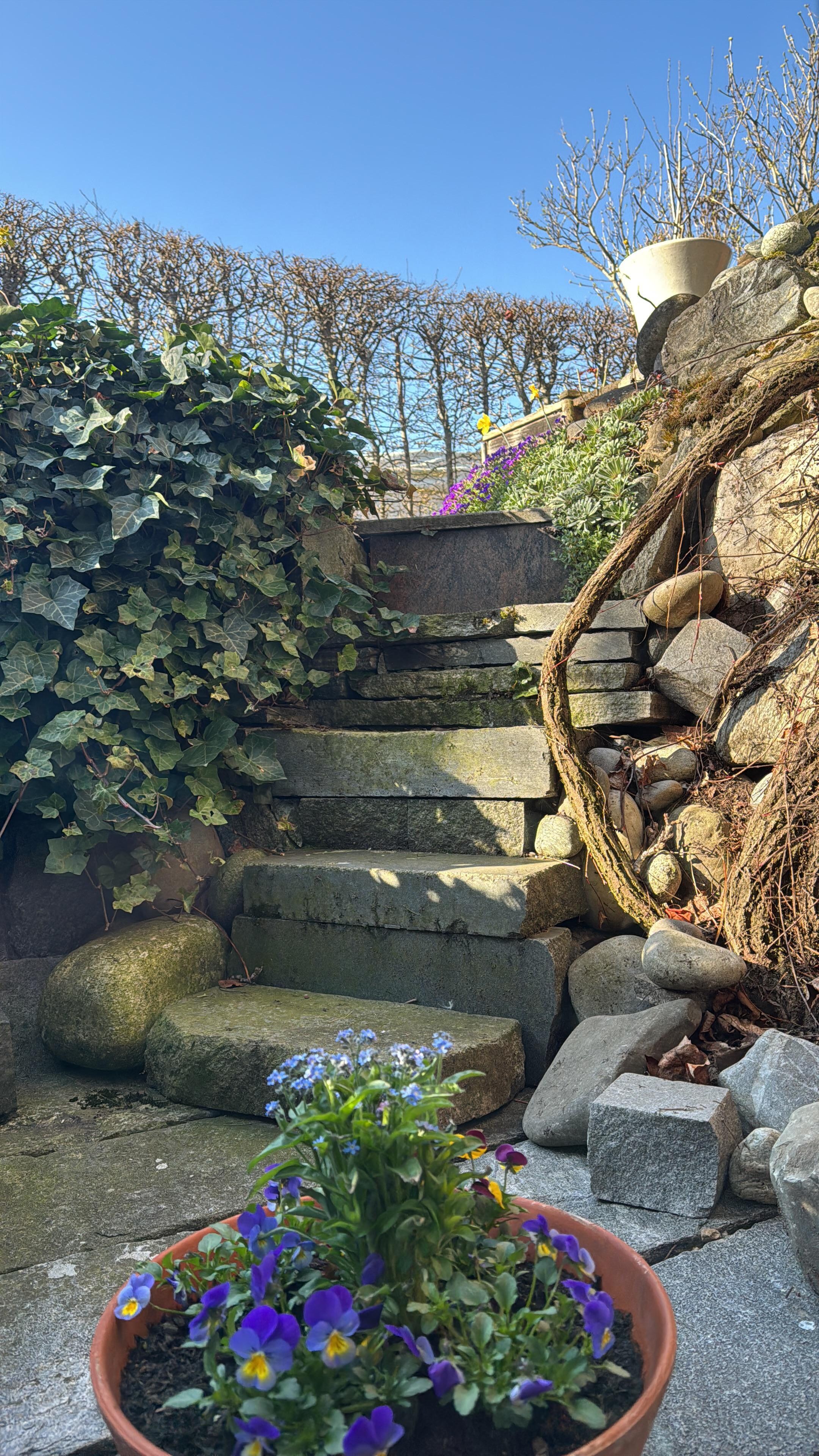 toller Blick mit Storchennest aus dem Wohnraum 