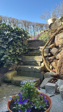 toller Blick mit Storchennest aus dem Wohnraum