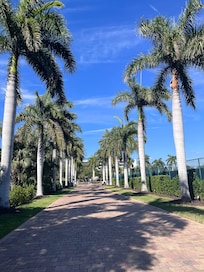 Entrance to Sarasota Surf and Racquet Ball Club