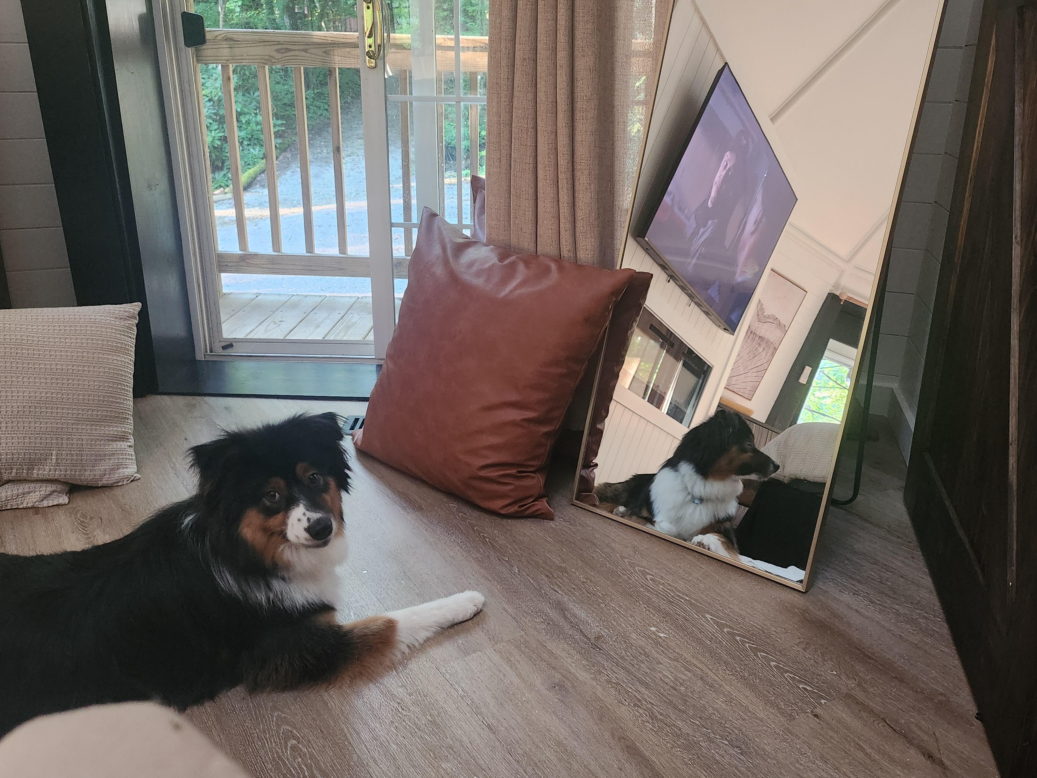 Since this was a pet friendly location our pup was admiring himself!