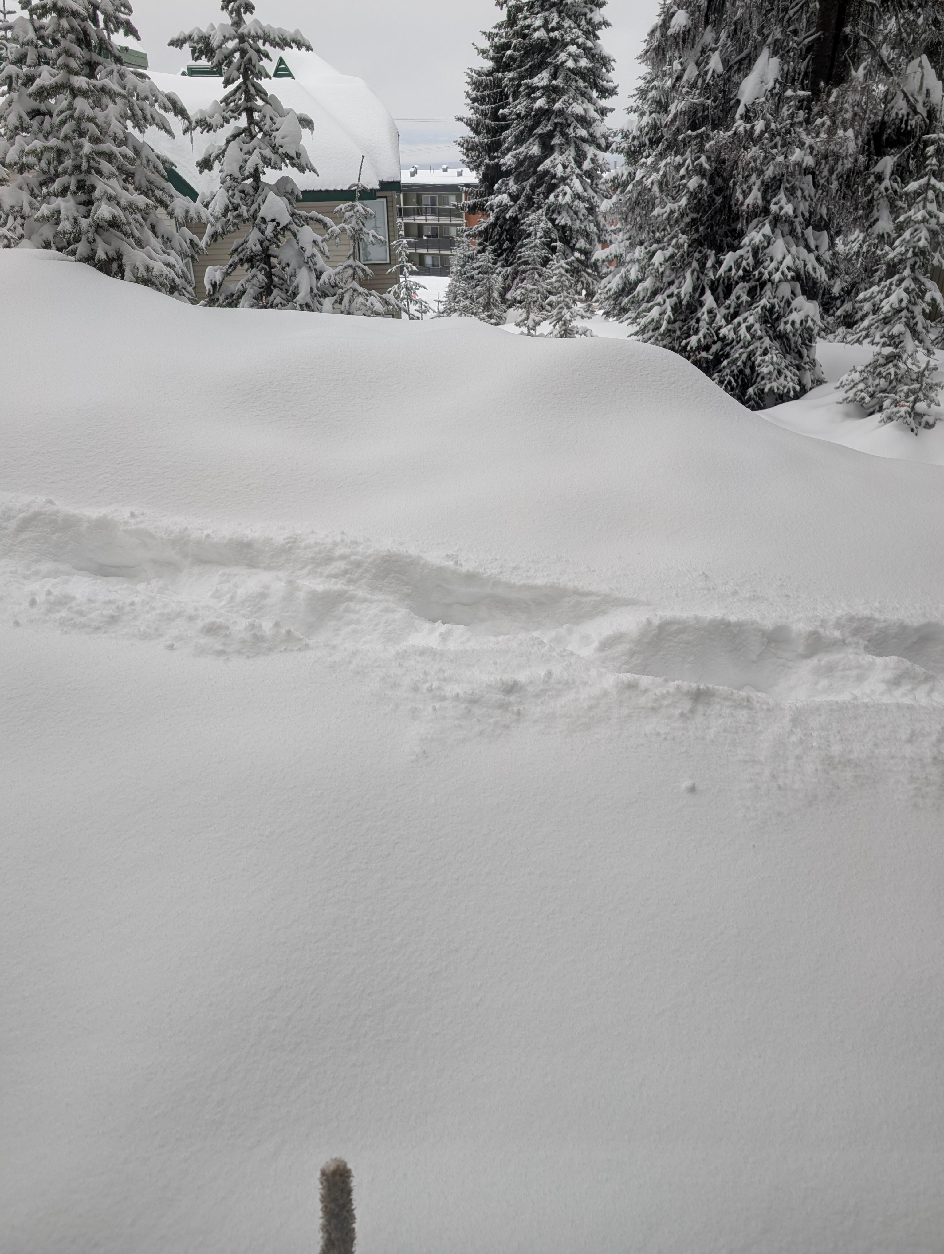 A view from the living room after a snowstorm.