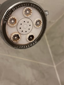 Mold