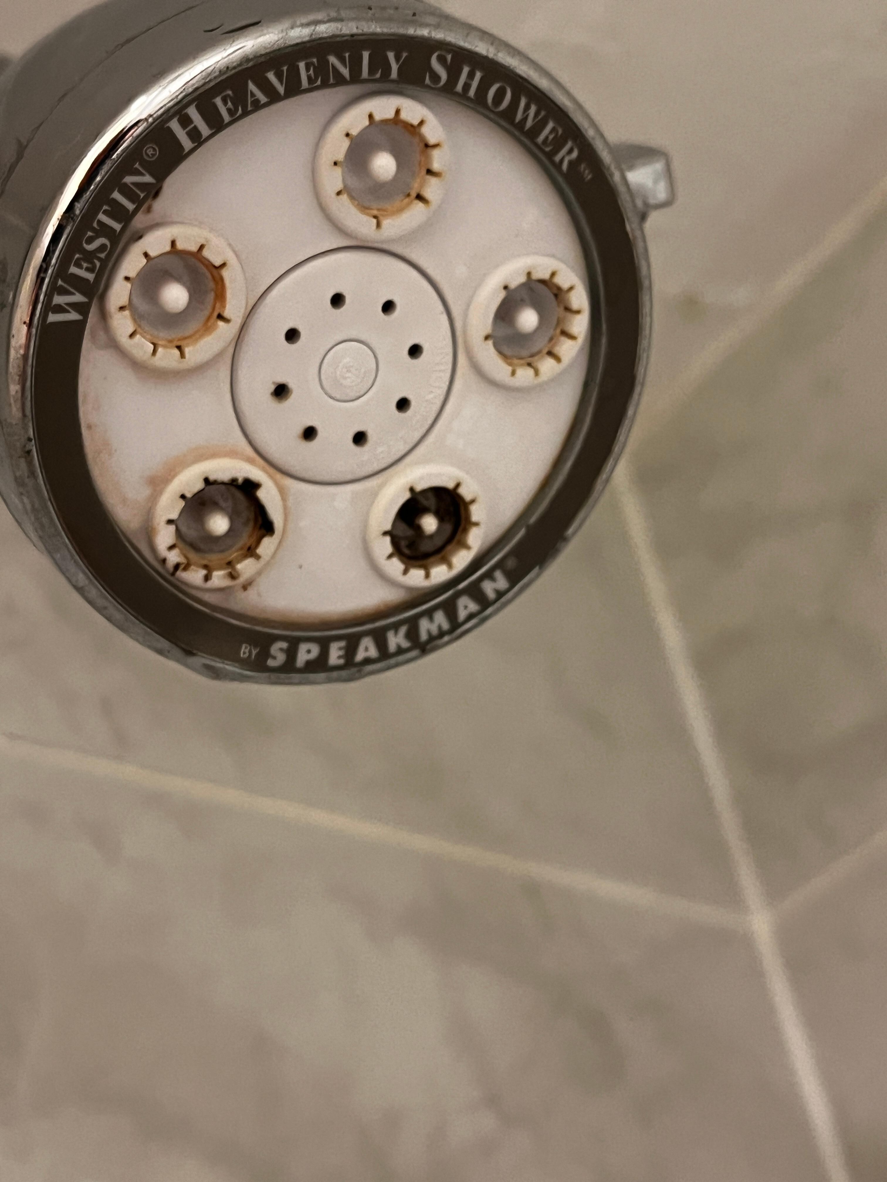 Mold