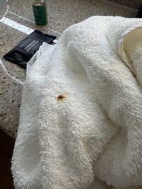 Towel that was there before I attempted to use.