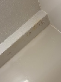Mold
