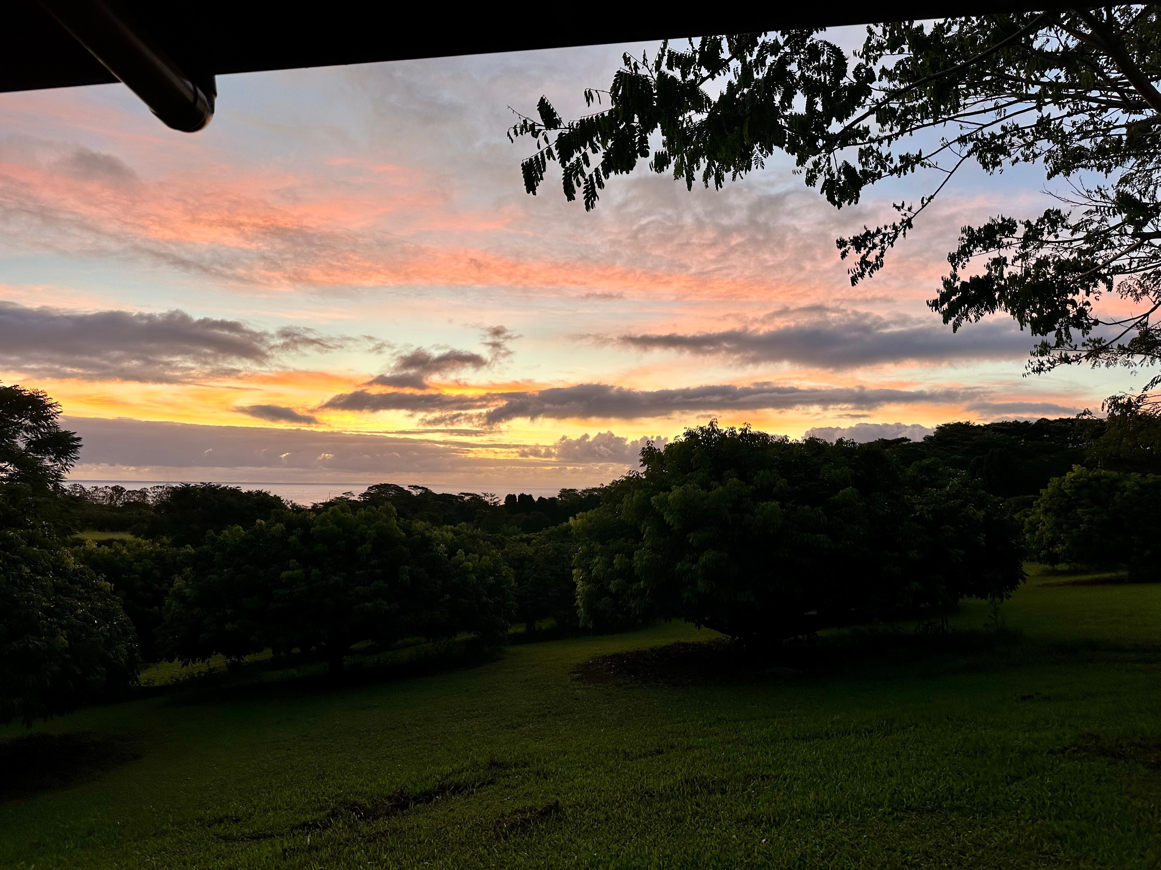 Sunrise 