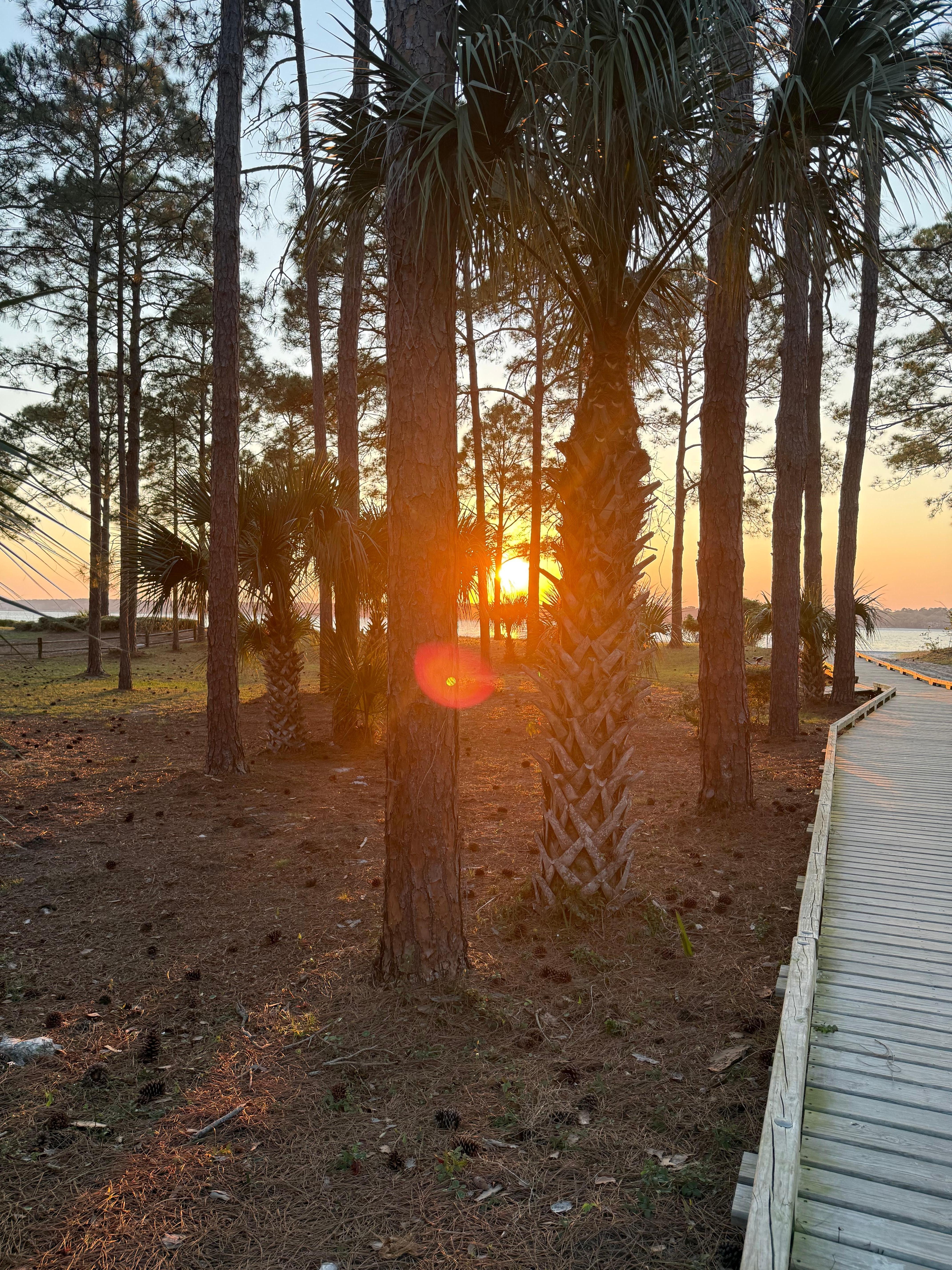 The walkway to the beach is literally across the street from 