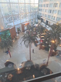 View from the room...