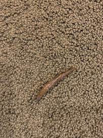 Slug
