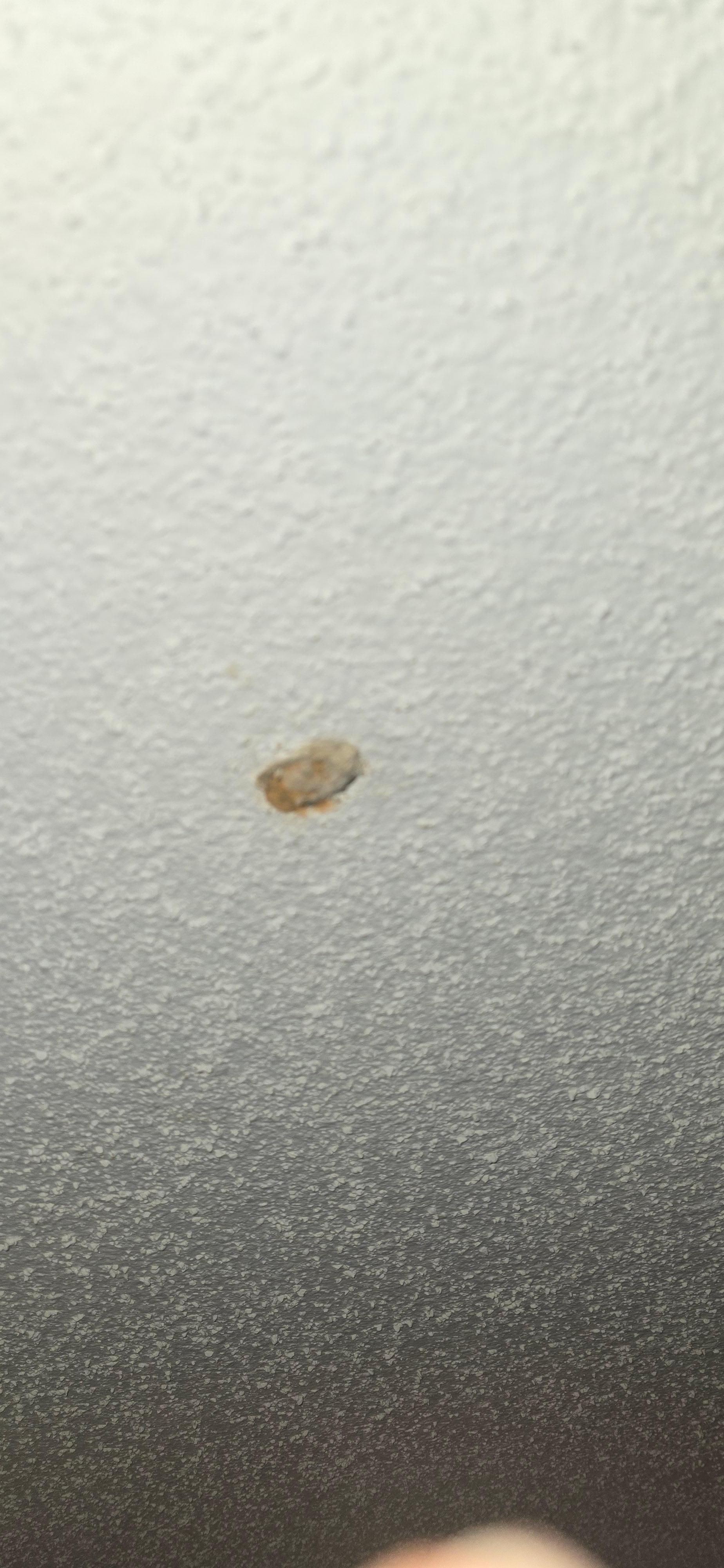 Spot on ceiling above the bed