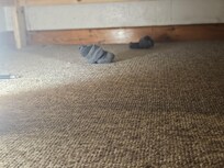 Dirty clothing under the bed. Not cleaned