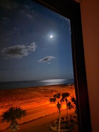 This appears to be AI, but it is not. Low lights b/c of turtle hatching timeframe. Just WOW-