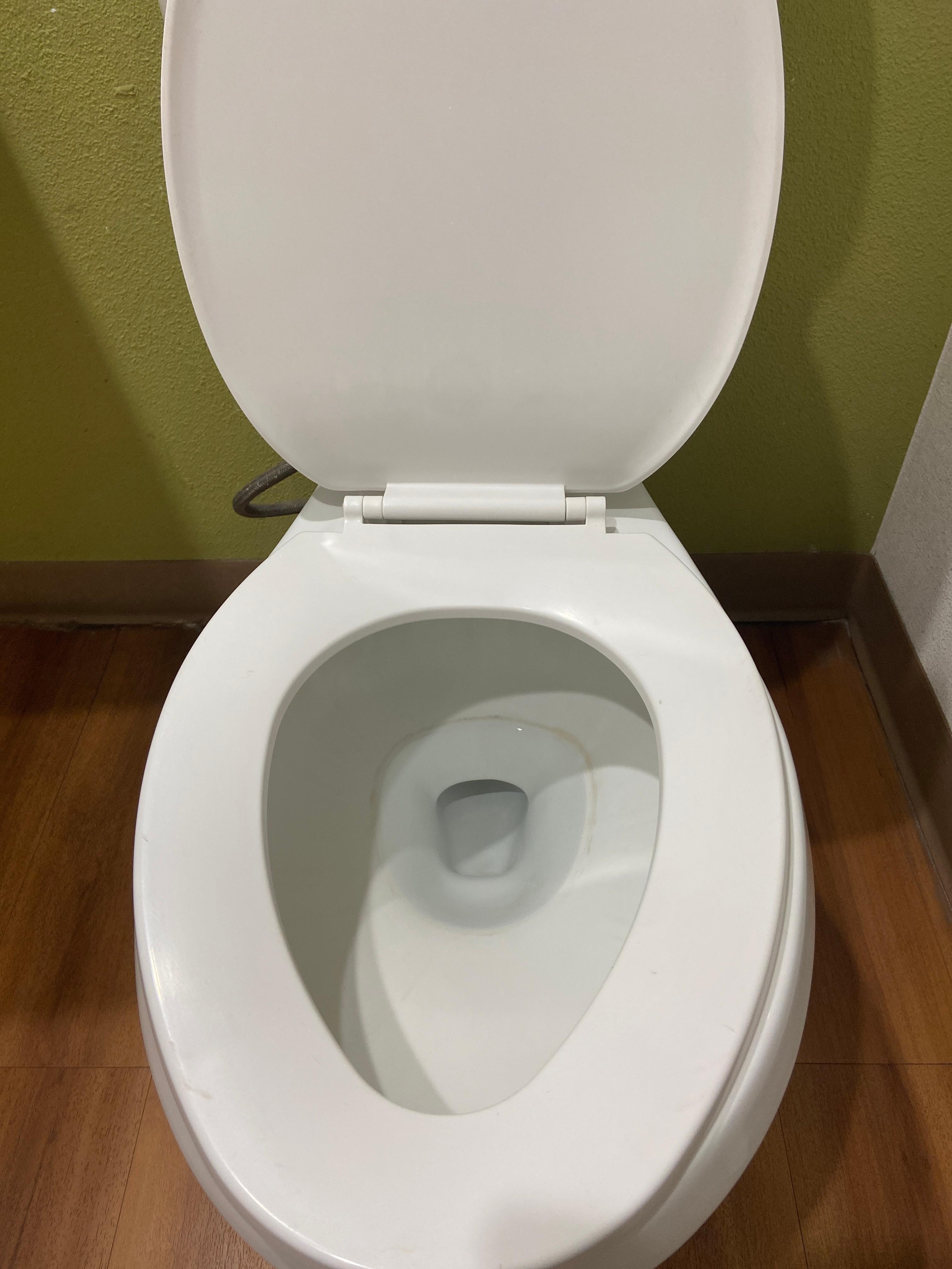 Urine ring in bowl.