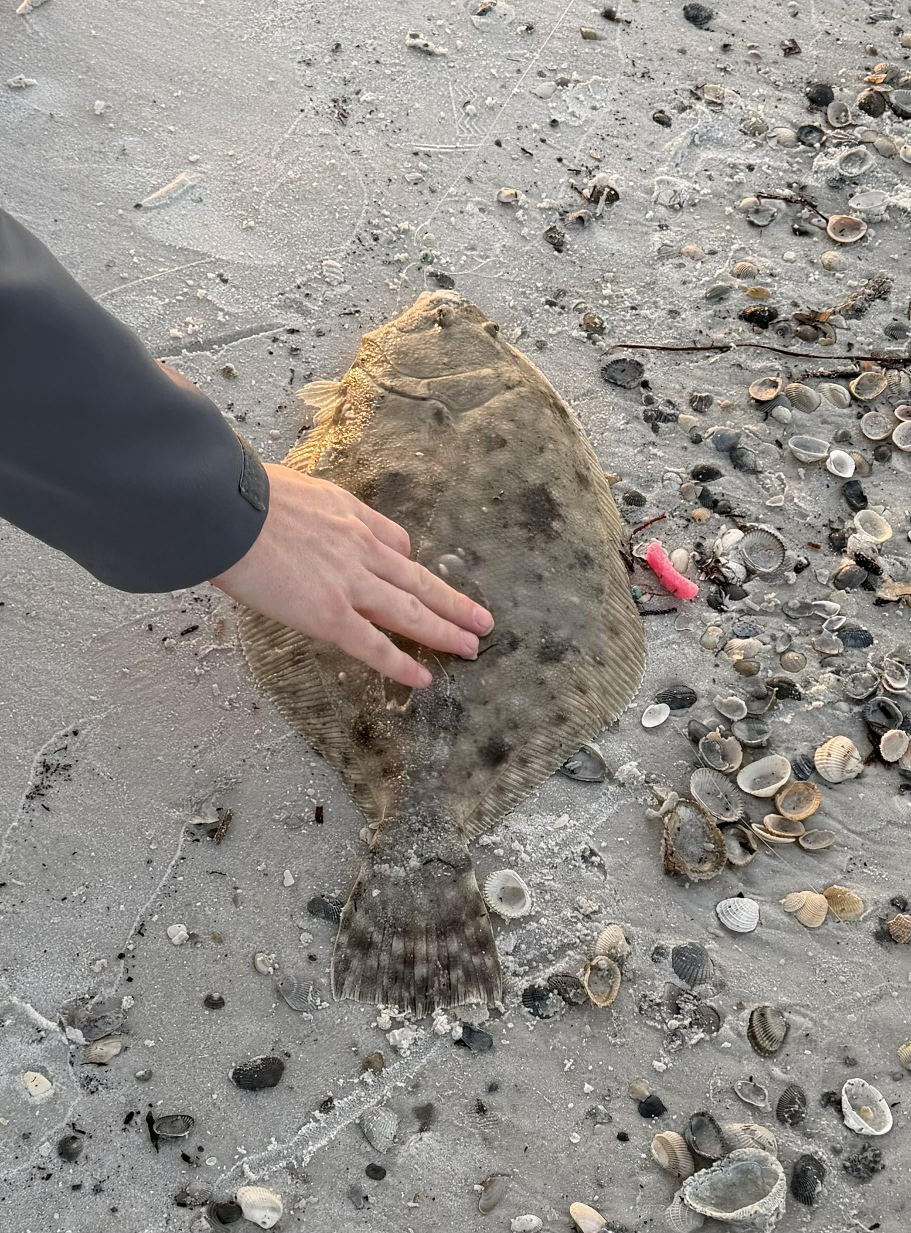 Flounder we caught.