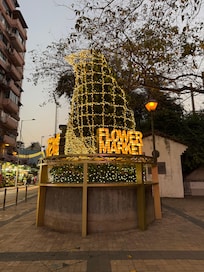 Flower Market & Bird Garden across the street from the hotel