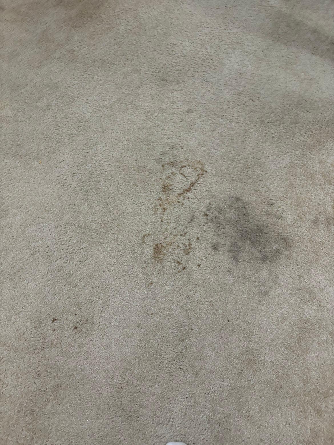 Stained carpet 