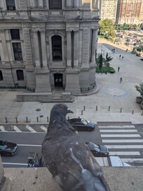 Out our 5th floor window. Always something to see!